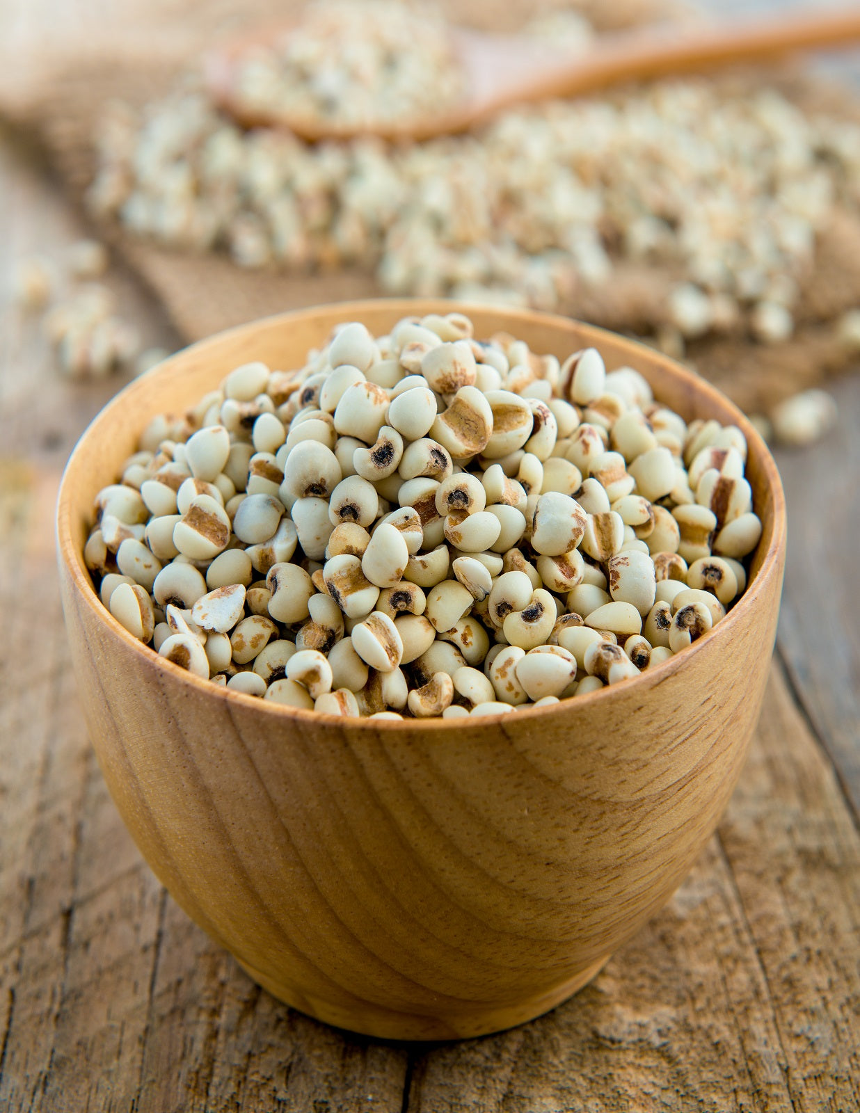 What is Jowar (Sorghum) and Why Should You Eat It?